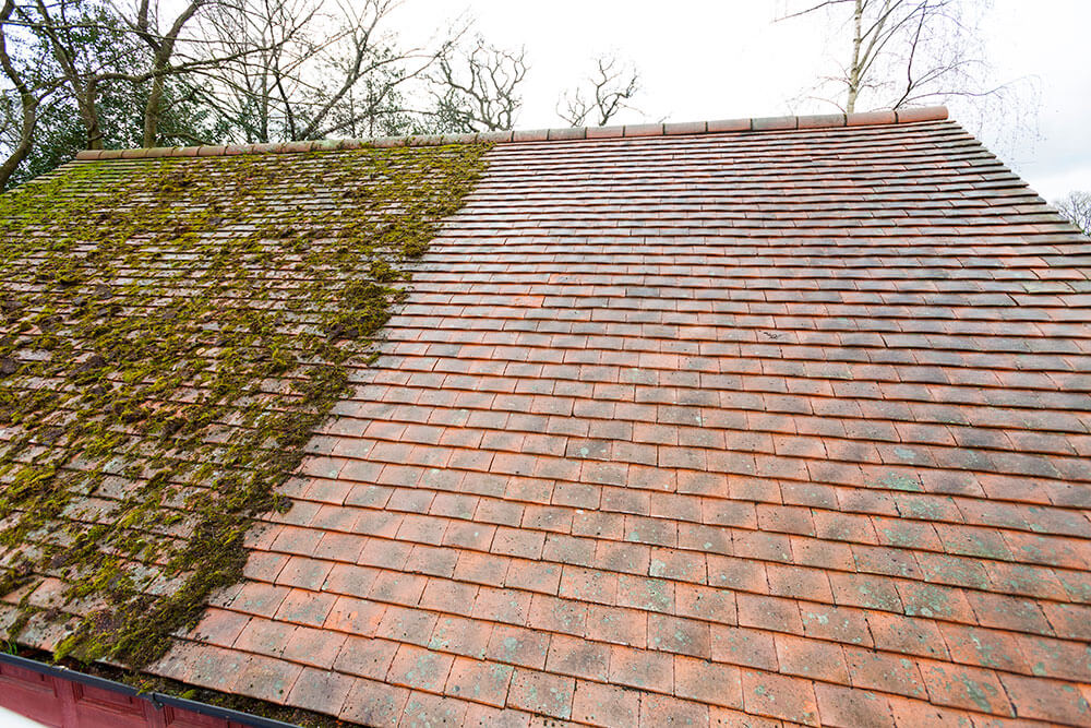 Roof-Moss-Cleaning-Removal